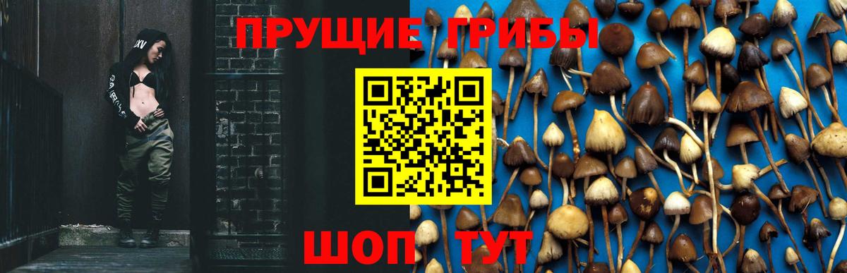 Галлюциногенные грибы мухоморы  Псилоцибиновые грибы Psilocybe  дарнет шоп  Богородицк  Вход с VPN 